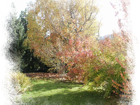 Automne